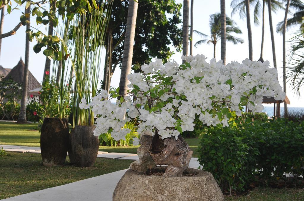 The Chandi Boutique Resort & Spa Lajor Kültér fotó